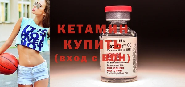 крисы Алексин