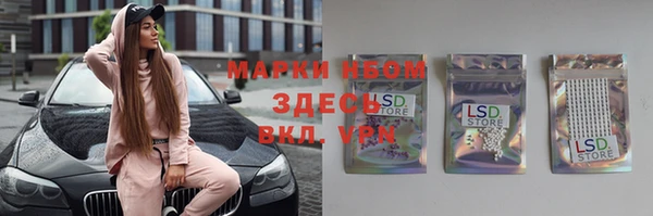 крисы Алексин
