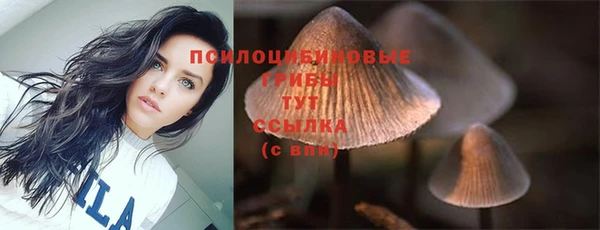 крисы Алексин