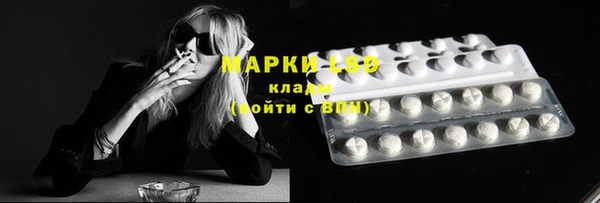 спиды Аркадак